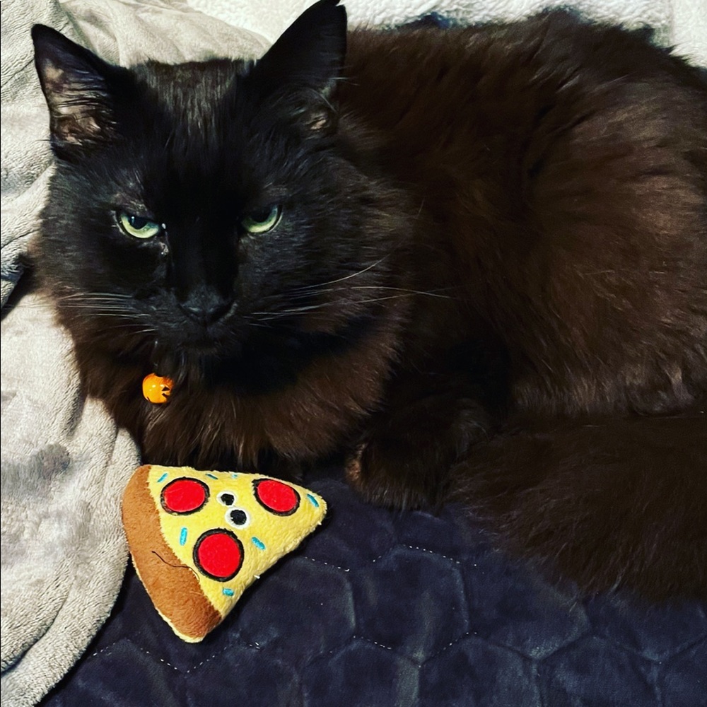 🎃 Meet your Posher, Bekki 🎃